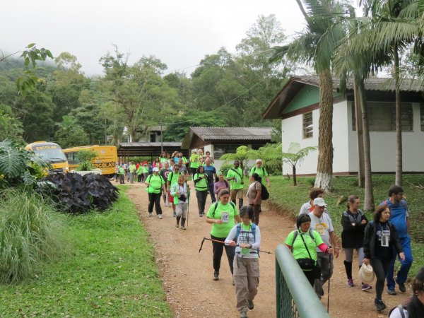 Capa da galeria Caminhada na Natureza
